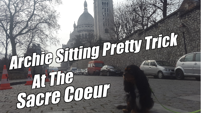 Archie Sitting Pretty Trick At The Sacré Coeur